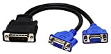 zdyCGTime DMS-59 59-pin mâle vers Dual VGA Femelle Y Splitter câble Adaptateur de Carte vidéo pour Matrox Molex ATI NVIDIA ...
